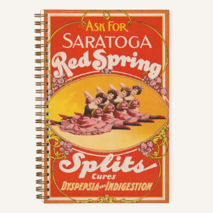 Cuaderno Anuncio Vintage Para Las Divisiones De La Primaver
