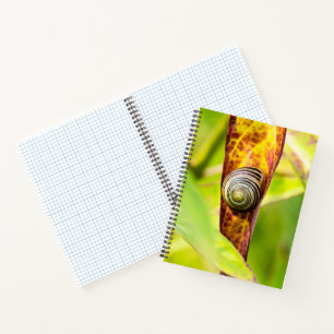 Cuaderno apego