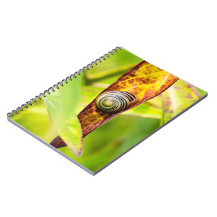 Cuaderno apego