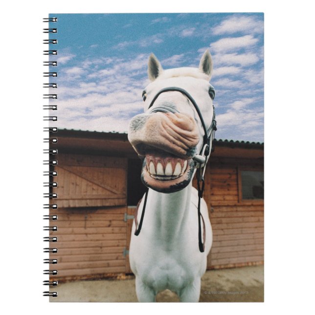 Cuaderno Apertura de boca para acercamiento de caballos (Frente)