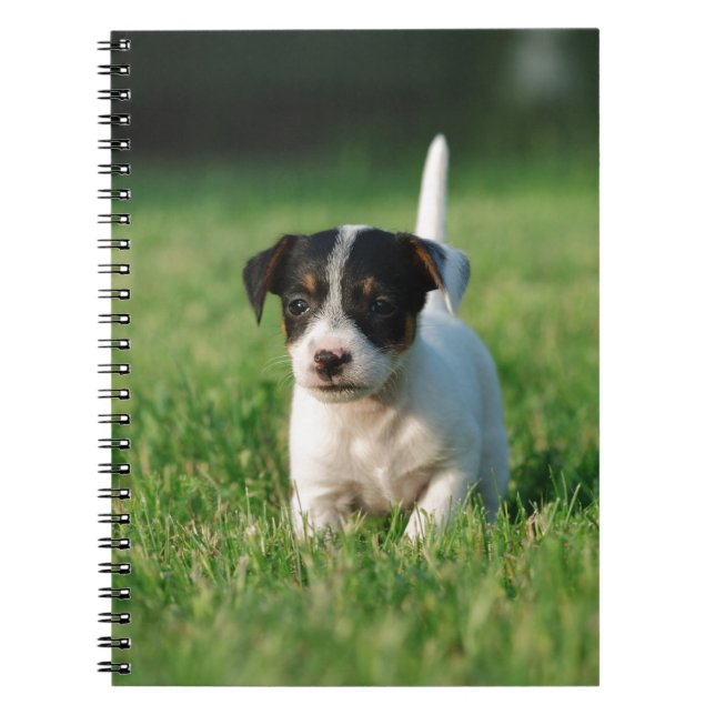 Cuaderno Apertura de Jack Russell Terrier (Frente)