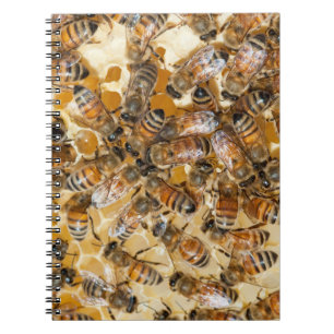 Cuaderno Apicultura en Arlo's Honey Farm