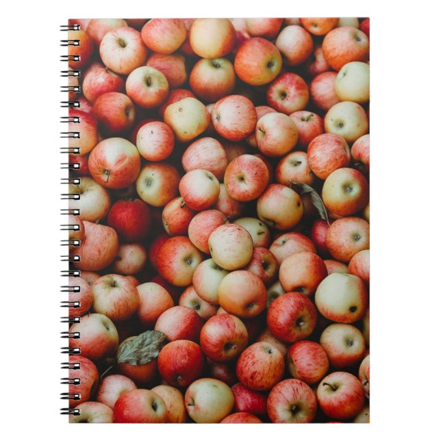 CUADERNO APLICACIONES GALA (Frente)