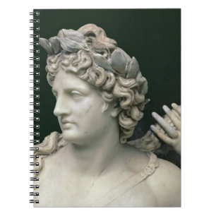 Cuaderno Apolo tendió al lado de las ninfas, el mostrar del