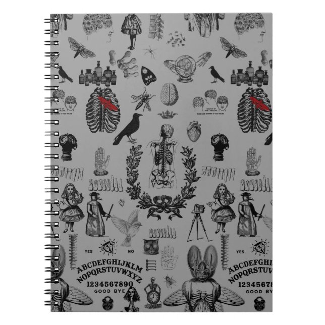 Cuaderno Apothecary (Frente)