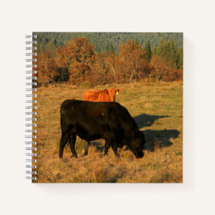 Cuaderno Apoye a mi hombre......