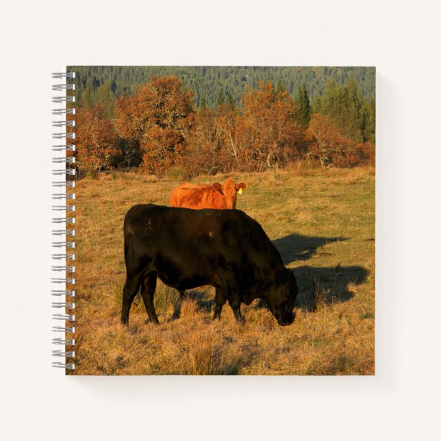 Cuaderno Apoye a mi hombre...... (Anverso)