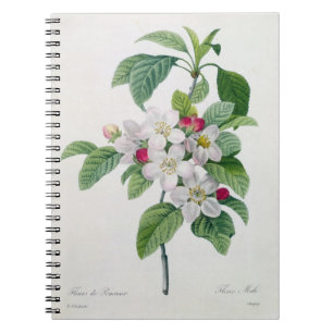 Cuaderno Apple florece, del 'DES de Les Choix más bellezas