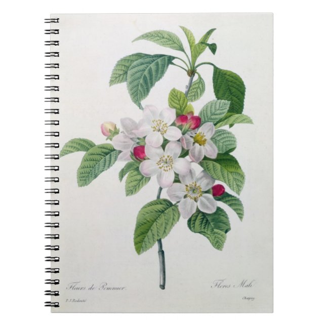 Cuaderno Apple florece, del 'DES de Les Choix más bellezas (Frente)
