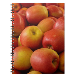 Cuaderno Apple Notebook