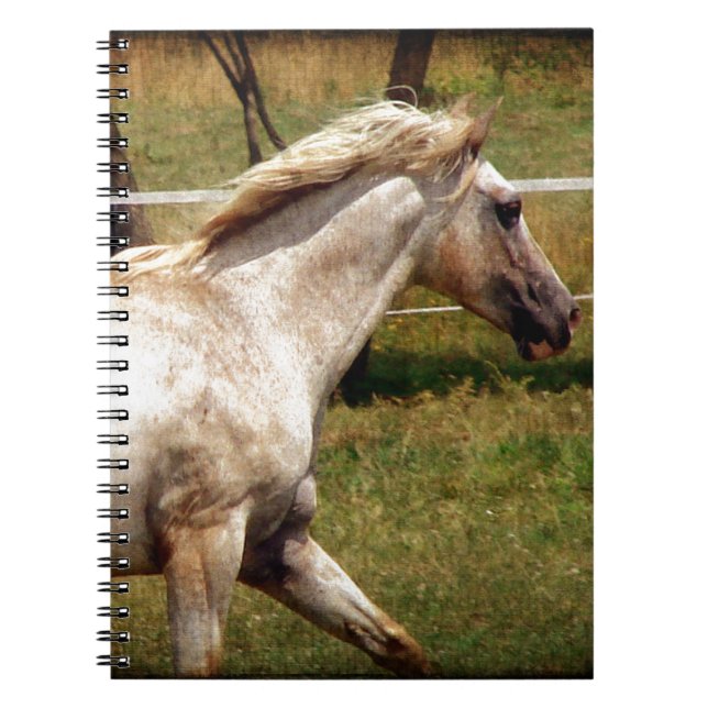 Cuaderno Appy (Frente)