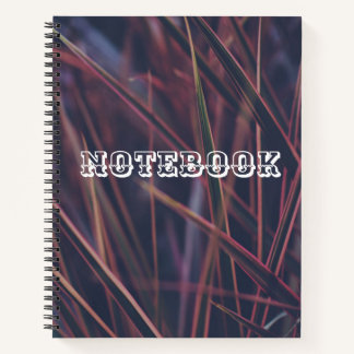 Cuaderno Aprovechar el optimismo para el éxito"
