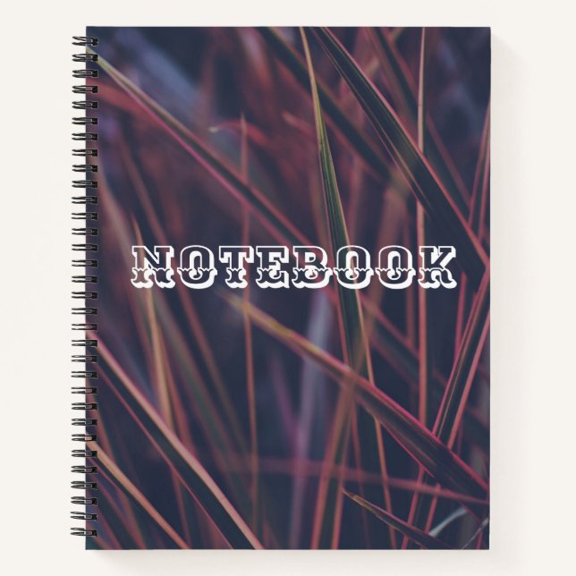 Cuaderno Aprovechar el optimismo para el éxito" (Anverso)