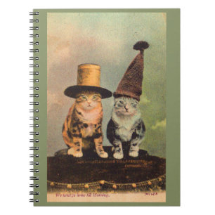 Cuaderno aproximadamente 1900 gatos en gorras RPPC