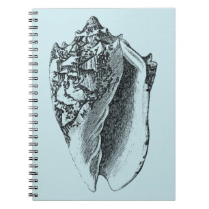 Cuaderno Aqua Conch Shell