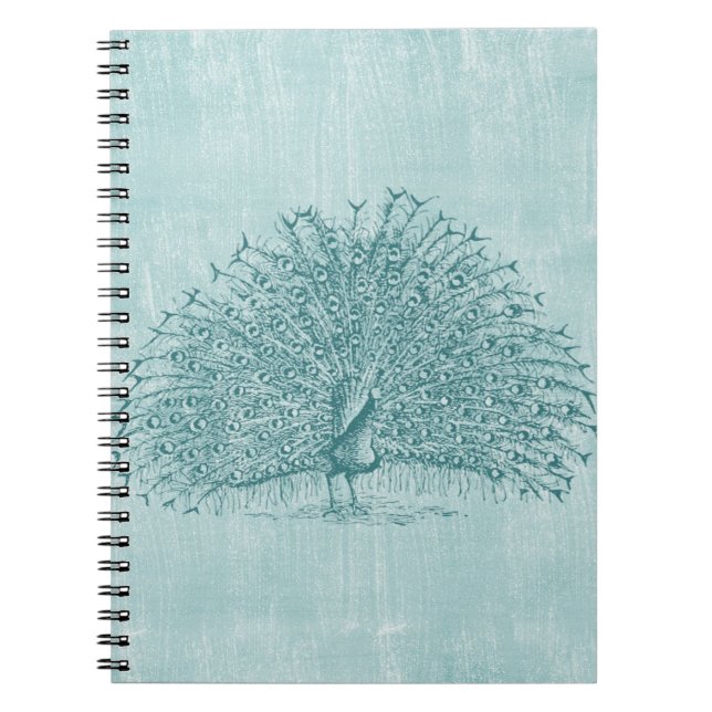 Cuaderno Aqua Peacock (Frente)
