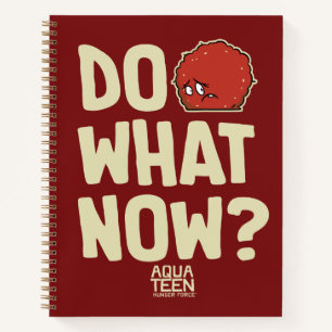 Cuaderno Aqua Teen Hunger Force Meatwad "Do What Now?"