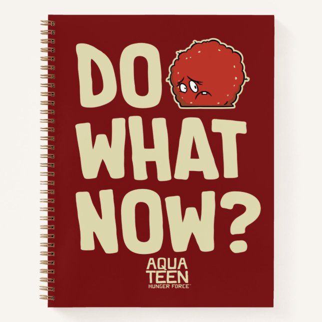Cuaderno Aqua Teen Hunger Force Meatwad "Do What Now?" (Anverso)