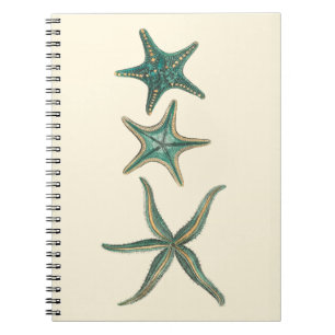 Cuaderno Aquamarine Triple Starfish