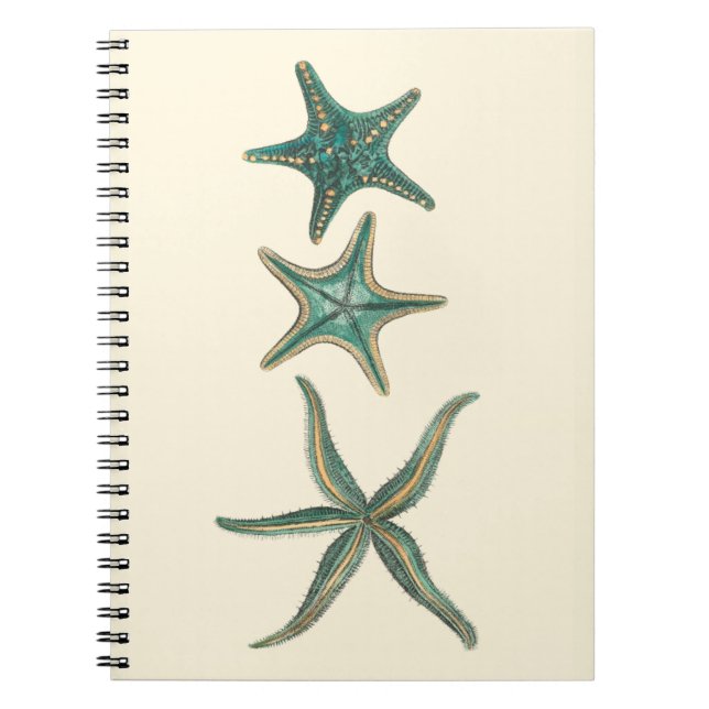 Cuaderno Aquamarine Triple Starfish (Frente)