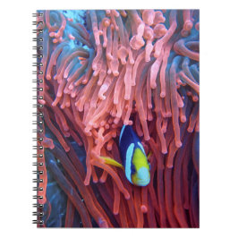 Cuaderno Aquatic Nautical Photos Marine Animal Photography