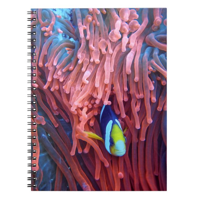 Cuaderno Aquatic Nautical Photos Marine Animal Photography  (Frente)
