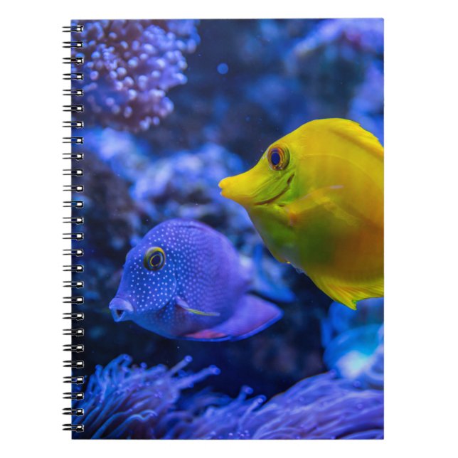Cuaderno Aquatic Nautical Photos Marine Animal Photography  (Frente)