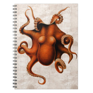 Cuaderno Aquí haya monstruos