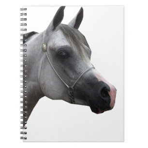Cuaderno Árabe