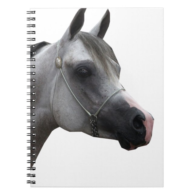 Cuaderno Árabe (Frente)