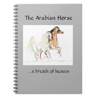 Cuaderno árabe del caballo
