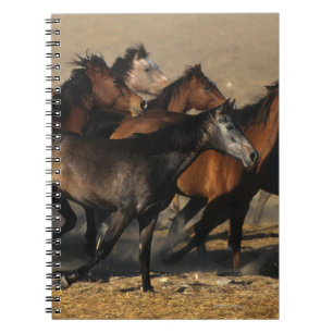 Cuaderno Árabes que corren en el desierto