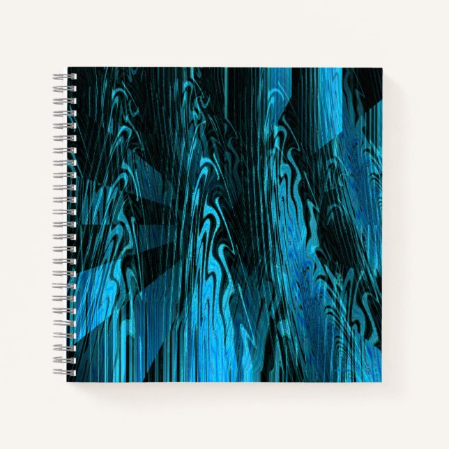 Cuaderno Araña...... (Anverso)