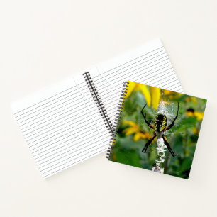 Cuaderno Araña de Orb Foto Impresionante en Telaraña