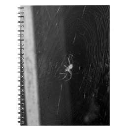 Cuaderno Araña de sótano
