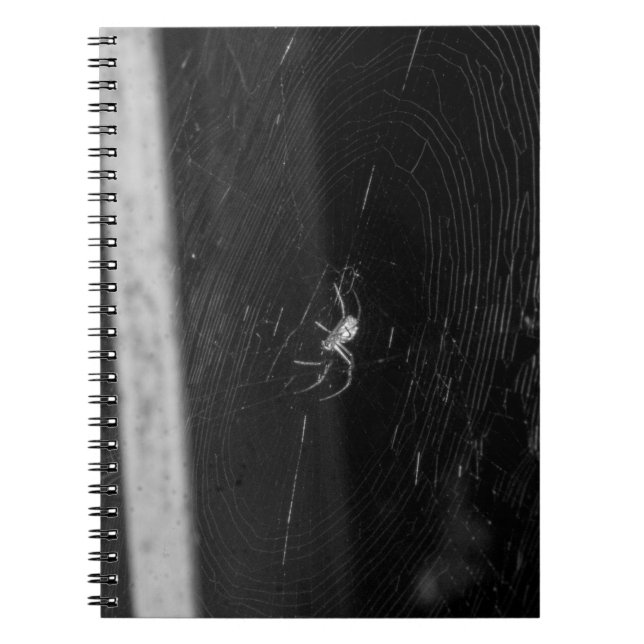 Cuaderno Araña de sótano (Frente)