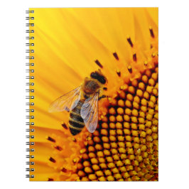 CUADERNO ARAÑAS DE MIEL (SUNFLOWER)
