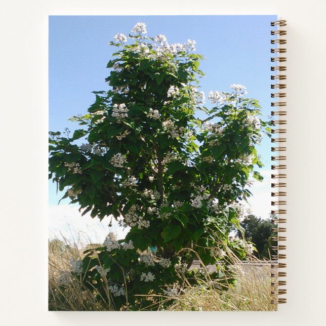Cuaderno Árbol catalán en flor (Reverso)