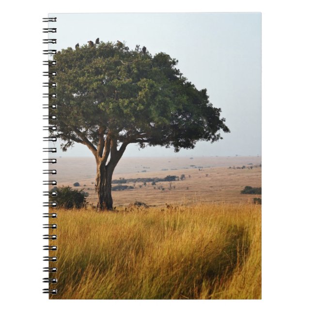 Cuaderno Árbol de acacia simple en llanuras de hierba, Masa (Frente)