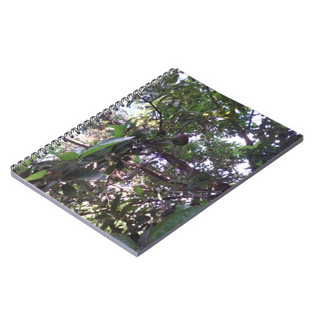 Cuaderno Árbol de aguacate (Lado Izquierdo)