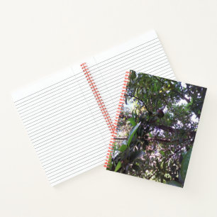 Cuaderno Árbol de aguacate