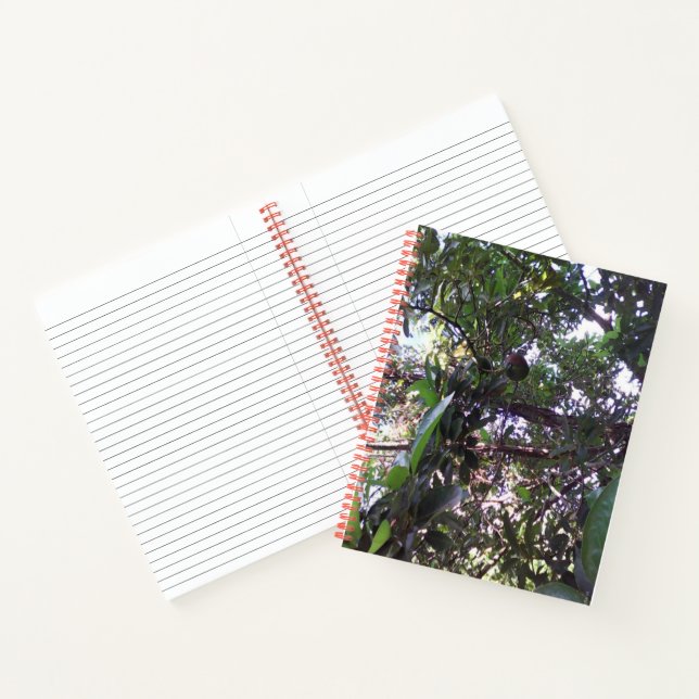 Cuaderno Árbol de aguacate (Interior)