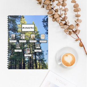 Cuaderno Árbol de árbol de pino árbol de tres generaciones