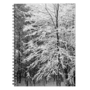 Cuaderno Árbol de arce delineado en nieve