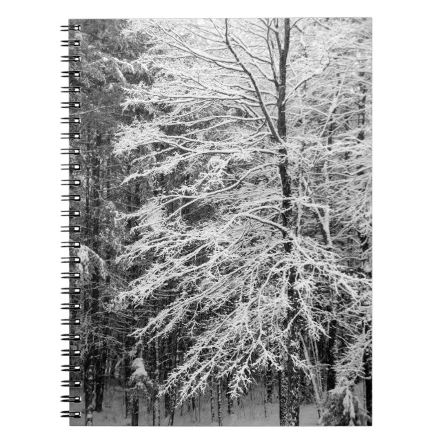 Cuaderno Árbol de arce delineado en nieve (Frente)
