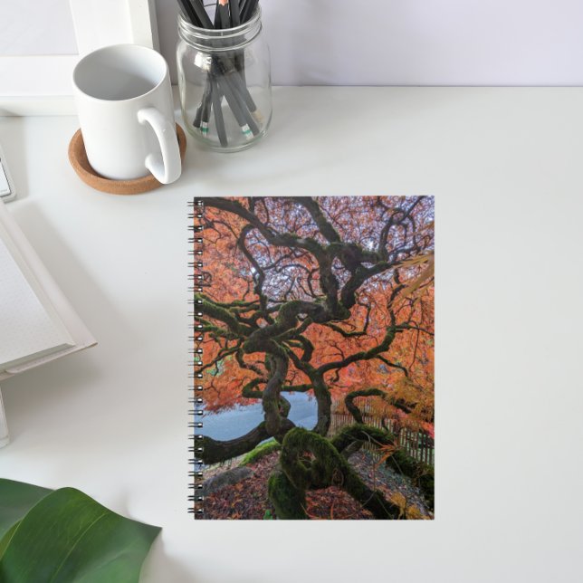Cuaderno Árbol de arce japonés de colores nasales (In Situ)