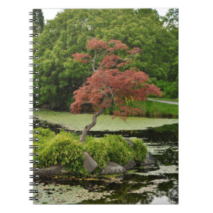Cuaderno Árbol de arce japonés y estanque de jardín