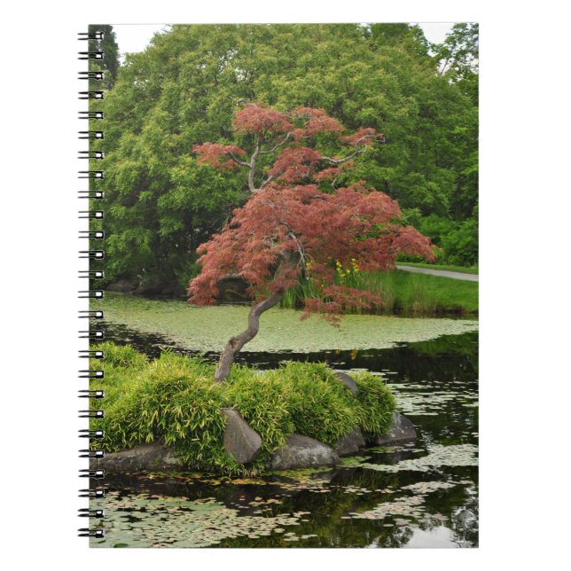 Cuaderno Árbol de arce japonés y estanque de jardín (Frente)