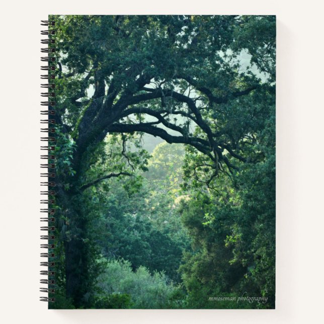Cuaderno Árbol de arcos (Anverso)