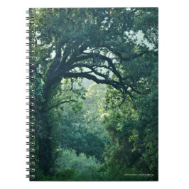 Cuaderno Árbol de arcos
